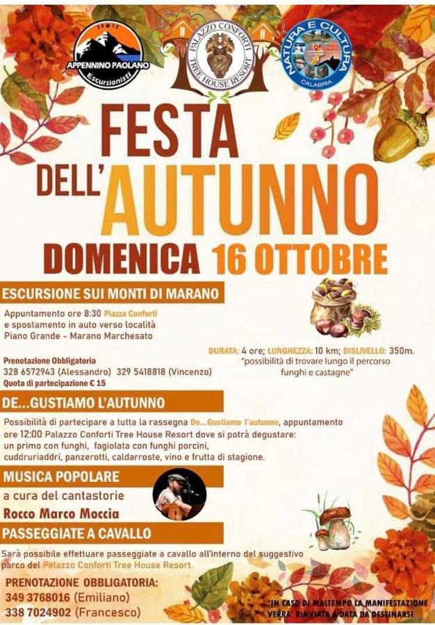 Bed and Breakfast Parco D'Arte Altart Rende Exterior foto
