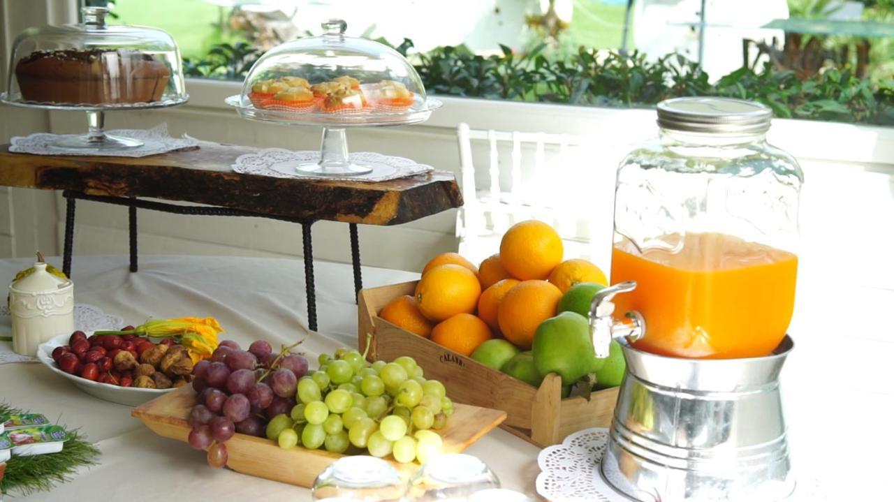 Bed and Breakfast Parco D'Arte Altart Rende Exterior foto