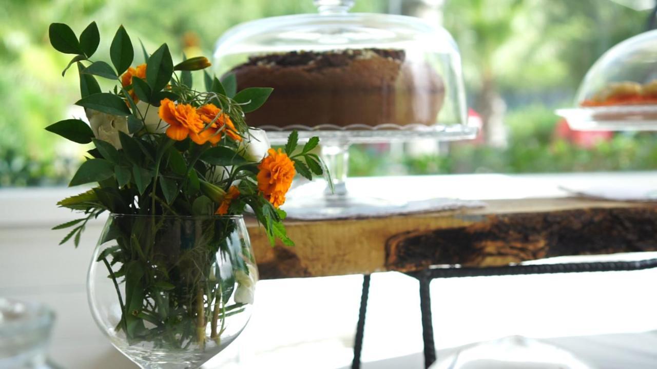 Bed and Breakfast Parco D'Arte Altart Rende Exterior foto