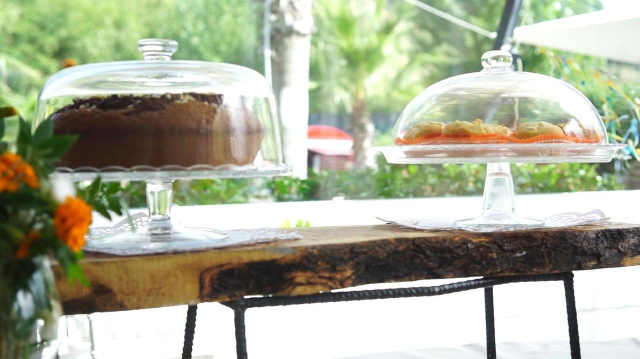 Bed and Breakfast Parco D'Arte Altart Rende Exterior foto